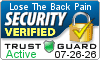Security Seals